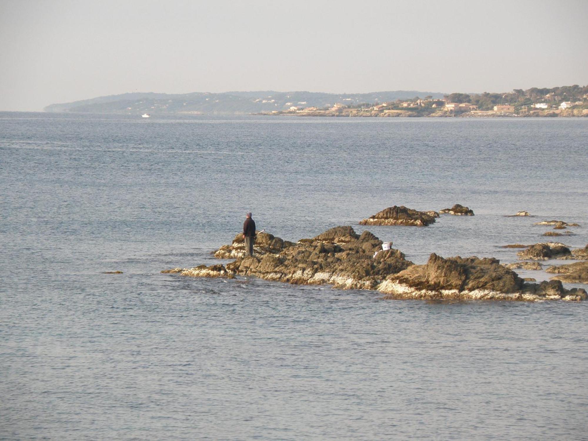 Athéna